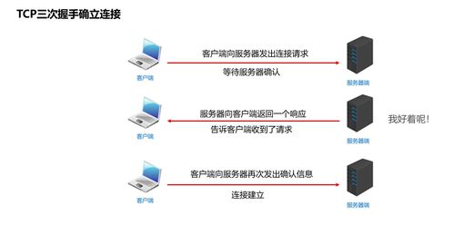 深入理解網(wǎng)絡(luò)通信三要素 IP、端口、協(xié)議及其在信息安全軟件開(kāi)發(fā)中的關(guān)鍵作用